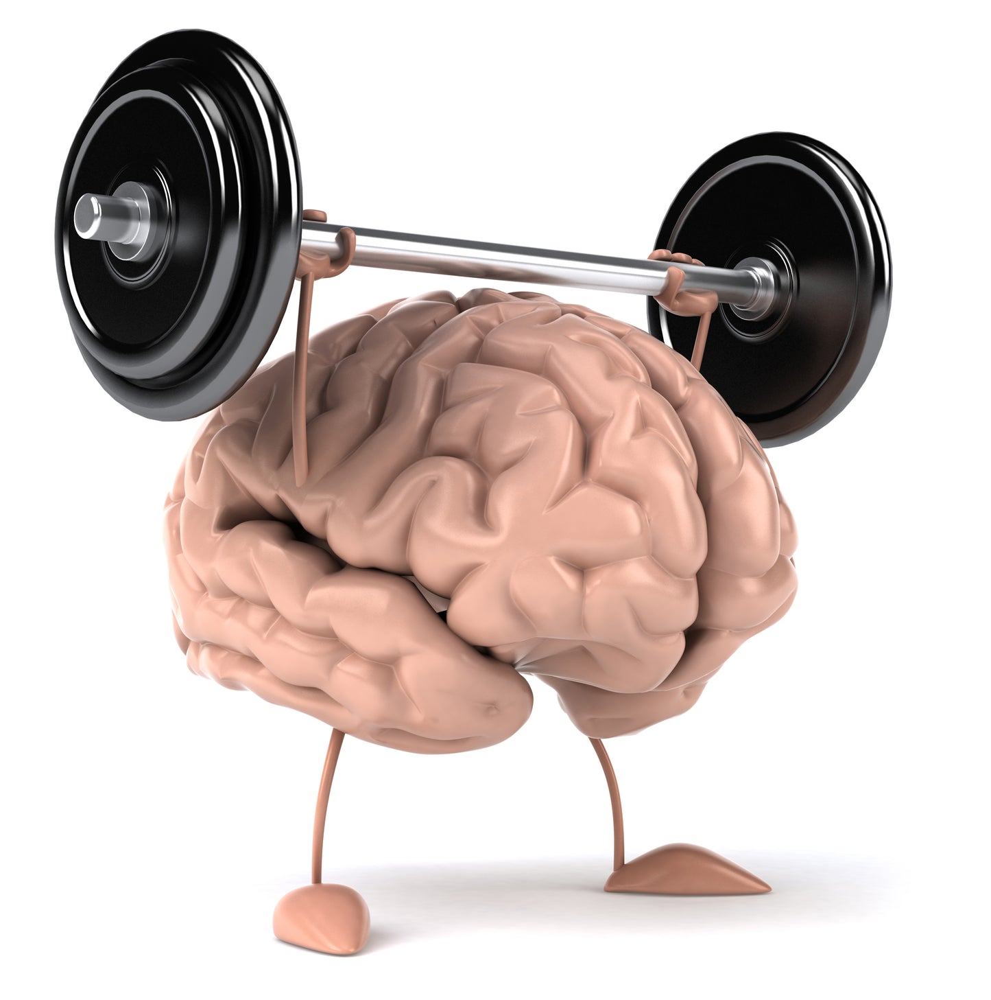 fitness paket 76